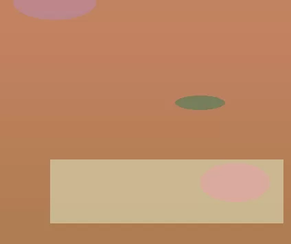 星空体育直播