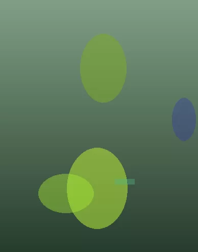 星空体育app
