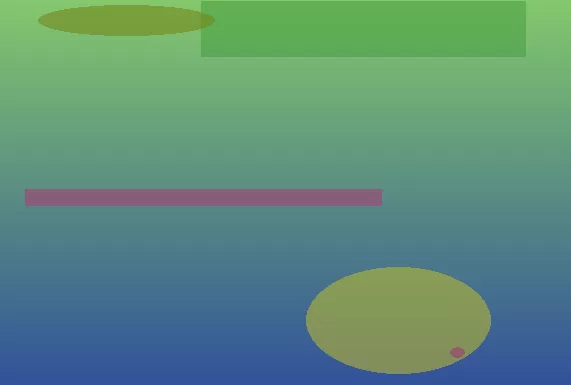 星空体育