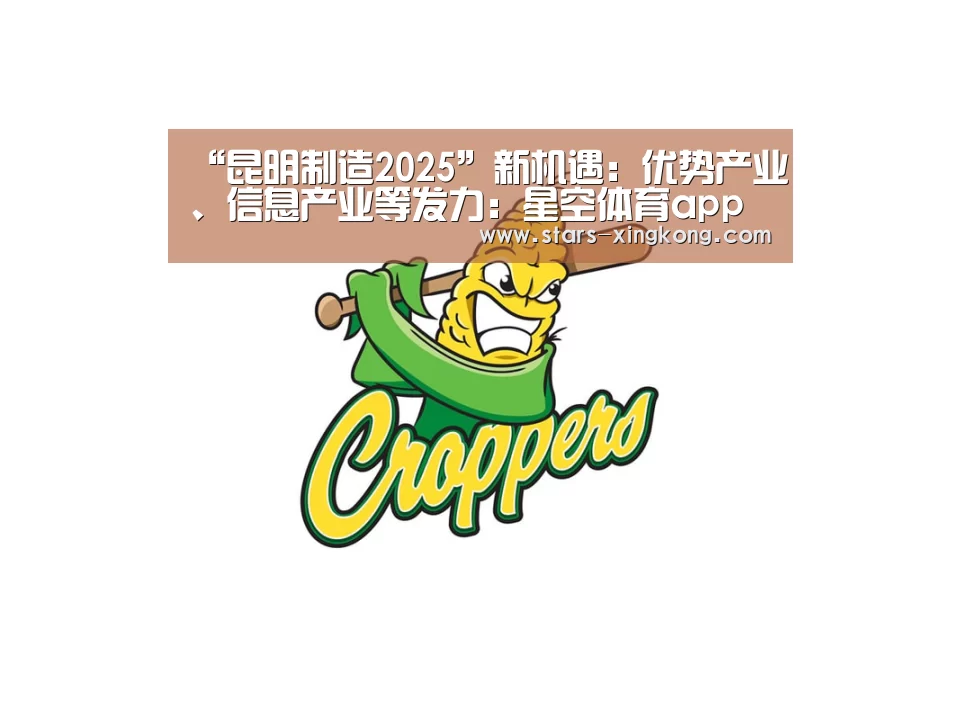 星空体育app