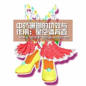 星空体育app下载