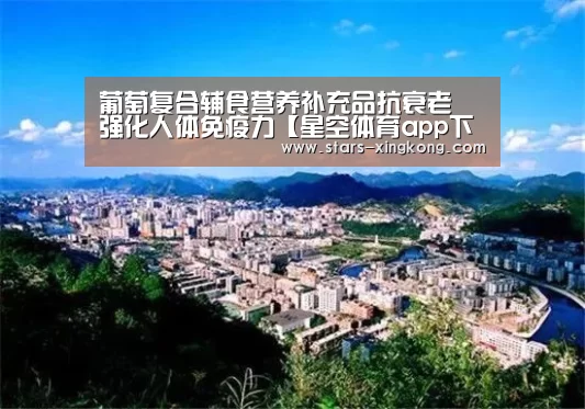 星空体育app
