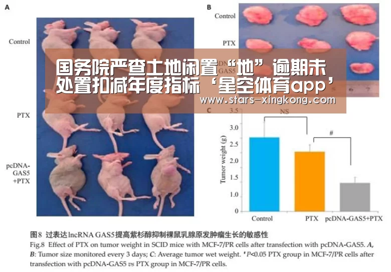 国务院严查土地闲置“地”逾期未处置扣减年度指标‘星空体育app’(图3) 星空体育app